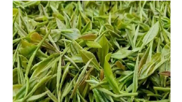 石阡苔茶是什么茶 石阡苔茶作用及功效