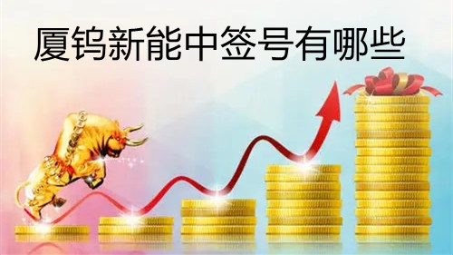 廈鎢新能中簽號(hào)有哪些 廈鎢新能中簽號(hào)結(jié)果