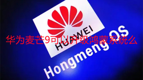 華為麥芒9可以升級(jí)鴻蒙系統(tǒng)么-升級(jí)HarmonyOS步驟說明一覽