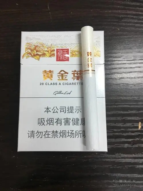 黄金叶豫烟5号图片