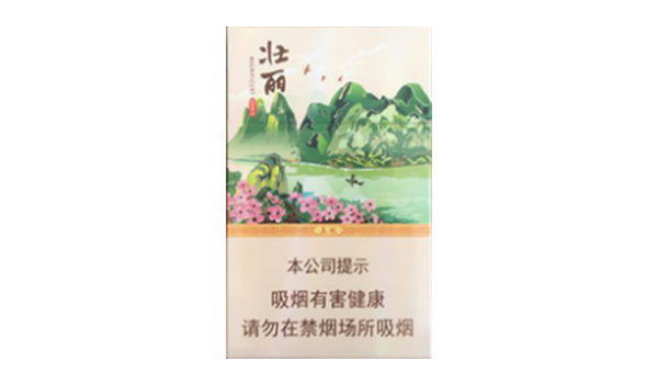 真龙壮丽香烟价格一览 2021真龙壮丽多少钱一条